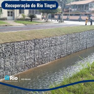 Recuperação do Rio Tingui