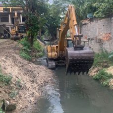 Limpeza do Rio Piraquara