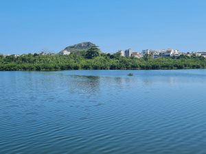 Lagoinha vista do Parque Natural Municipal Chico Mendes (Foto: Subprefeitura da Barra da Tijuca)