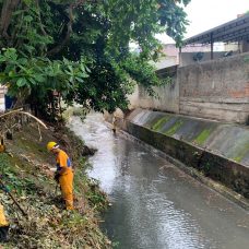 Limpeza do Rio dos Cachorros, em Irajá