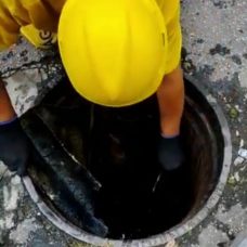 Telha achada em galeria pluvial na Freguesia 1