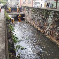Limpeza do Rio Trapicheiros