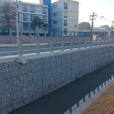 Recuperação das margens do Rio dos Cachorros