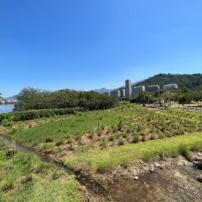 Naturalização da Lagoa Rodrigo de Freitas - Fase 3 - Parque do Cantagalo