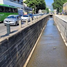 Recuperação das margens do Rio Joana (3)