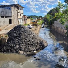 Limpeza do Rio Pavuna