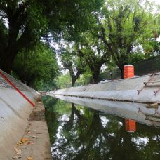 Obra de recuperação das margens do Canal da Visconde Albuquerque