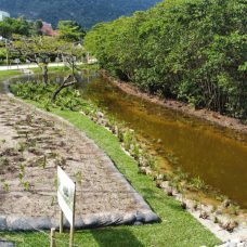 Naturalização da Lagoa Rodrigo de Freitas - Parque dos Patins