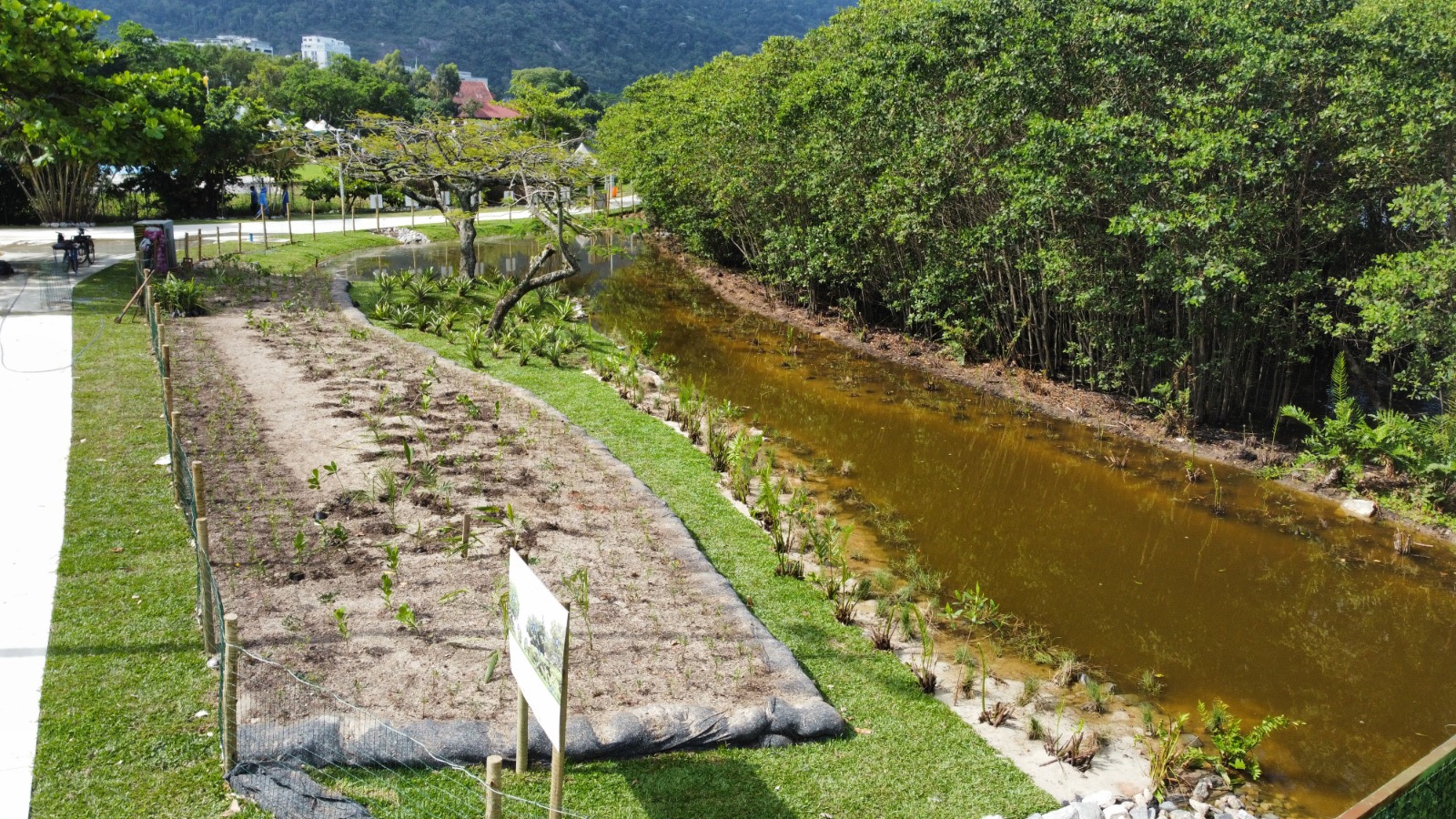 Naturalização da Lagoa Rodrigo de Freitas - Parque dos Patins